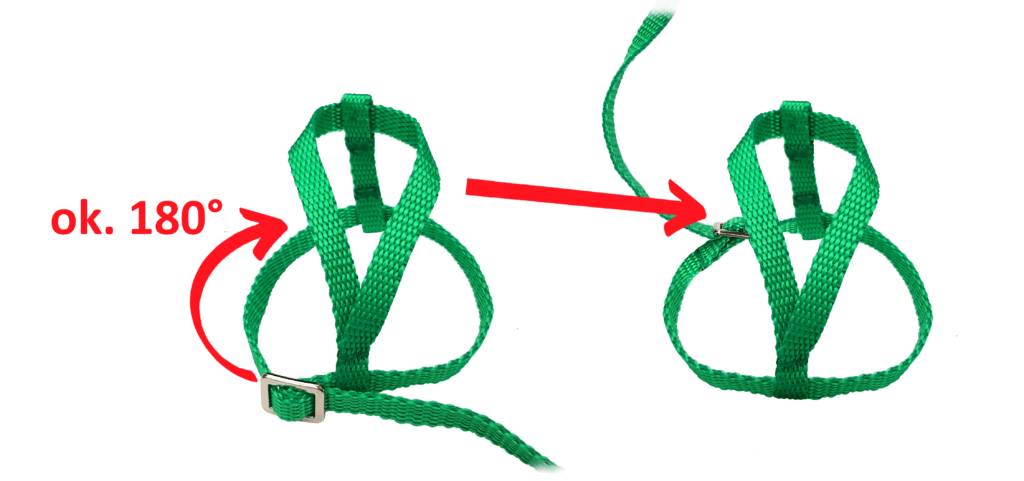 konstrukcja szelek dla papug