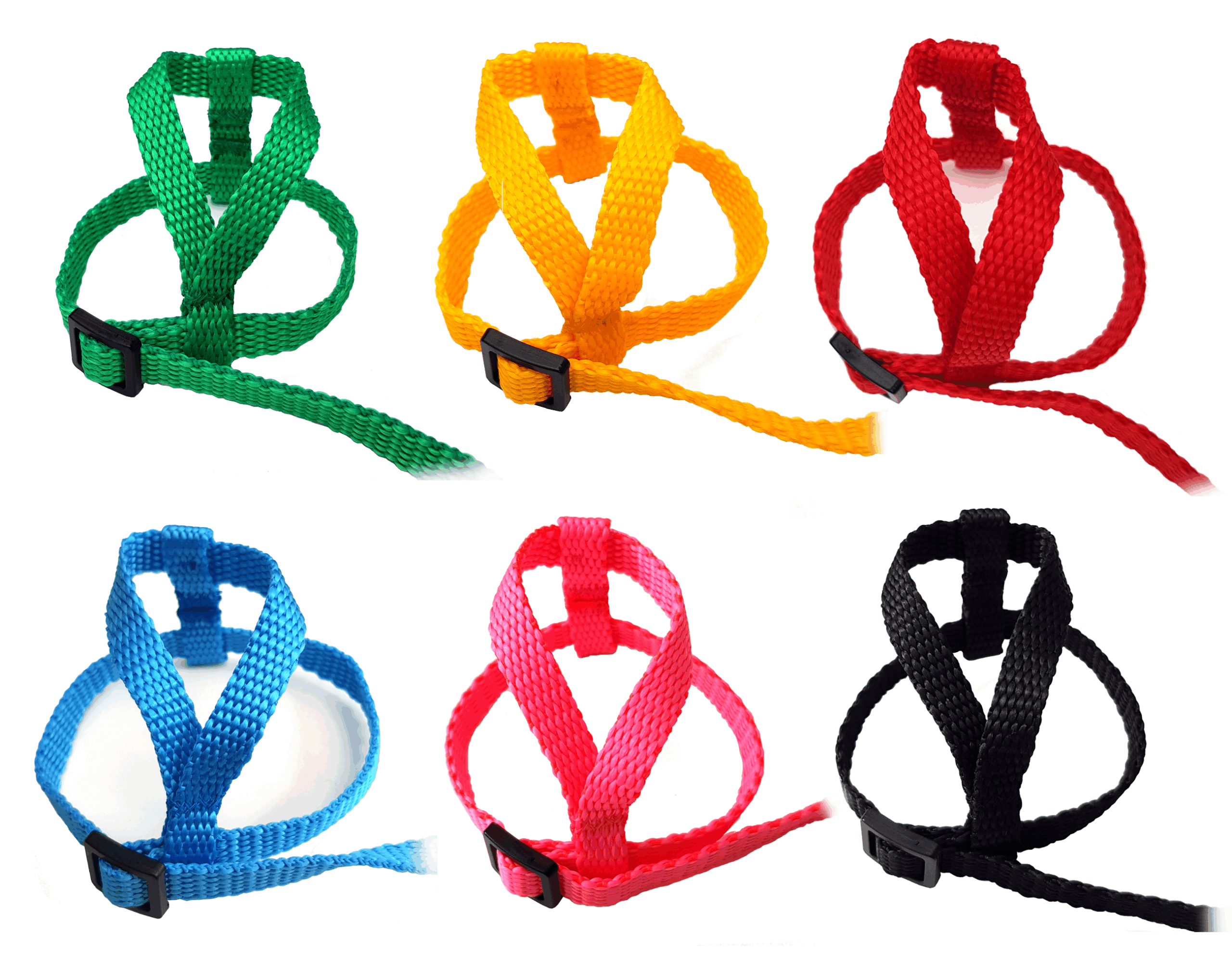 szelki dla małych papug rozmiar S kolorystyka