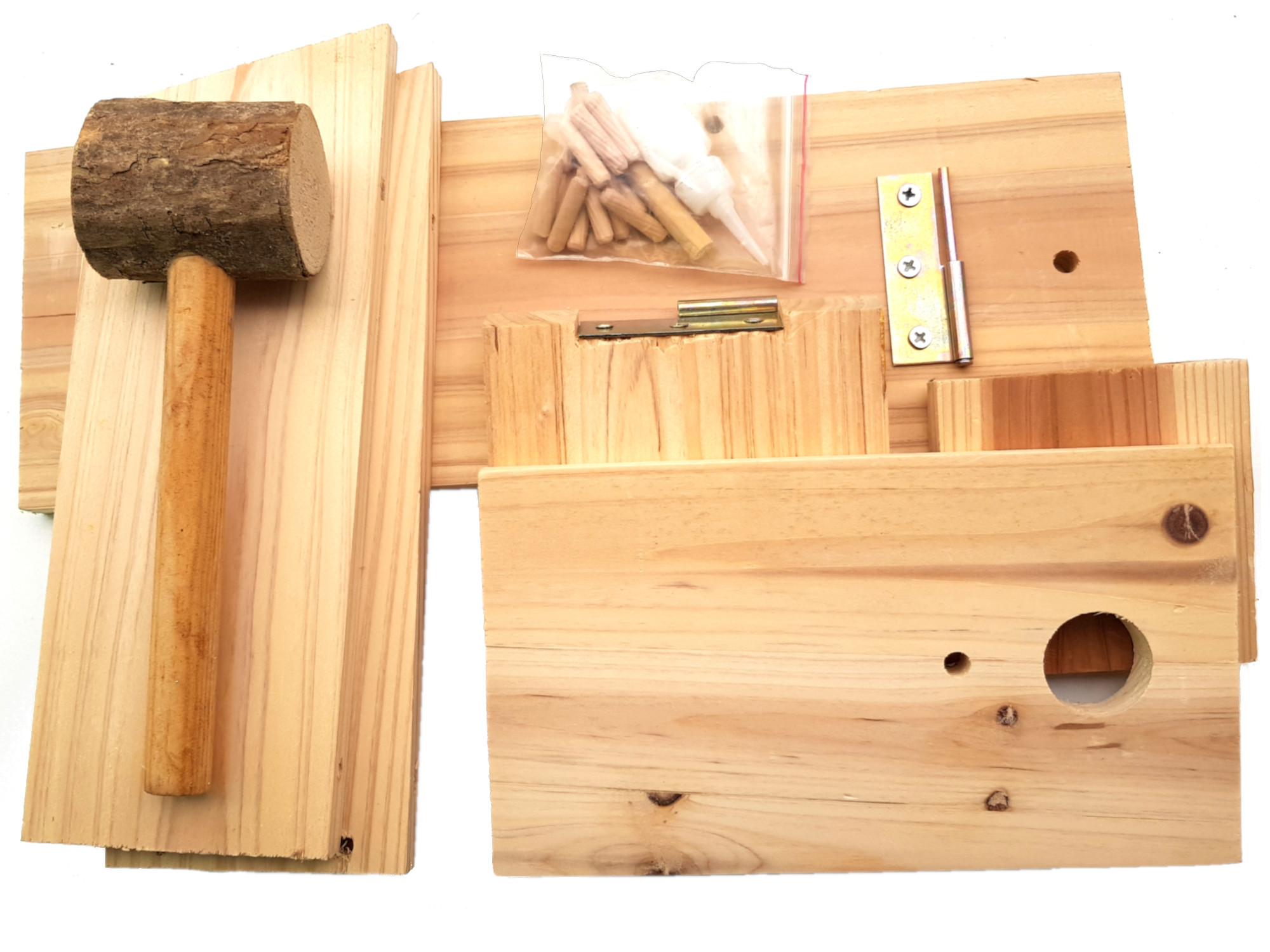 Budka lęgowa dla ptaków do samodzielnego montażu dla dzieci