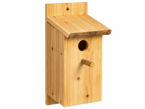 Budka dla ptaków do samodzielnego montażu