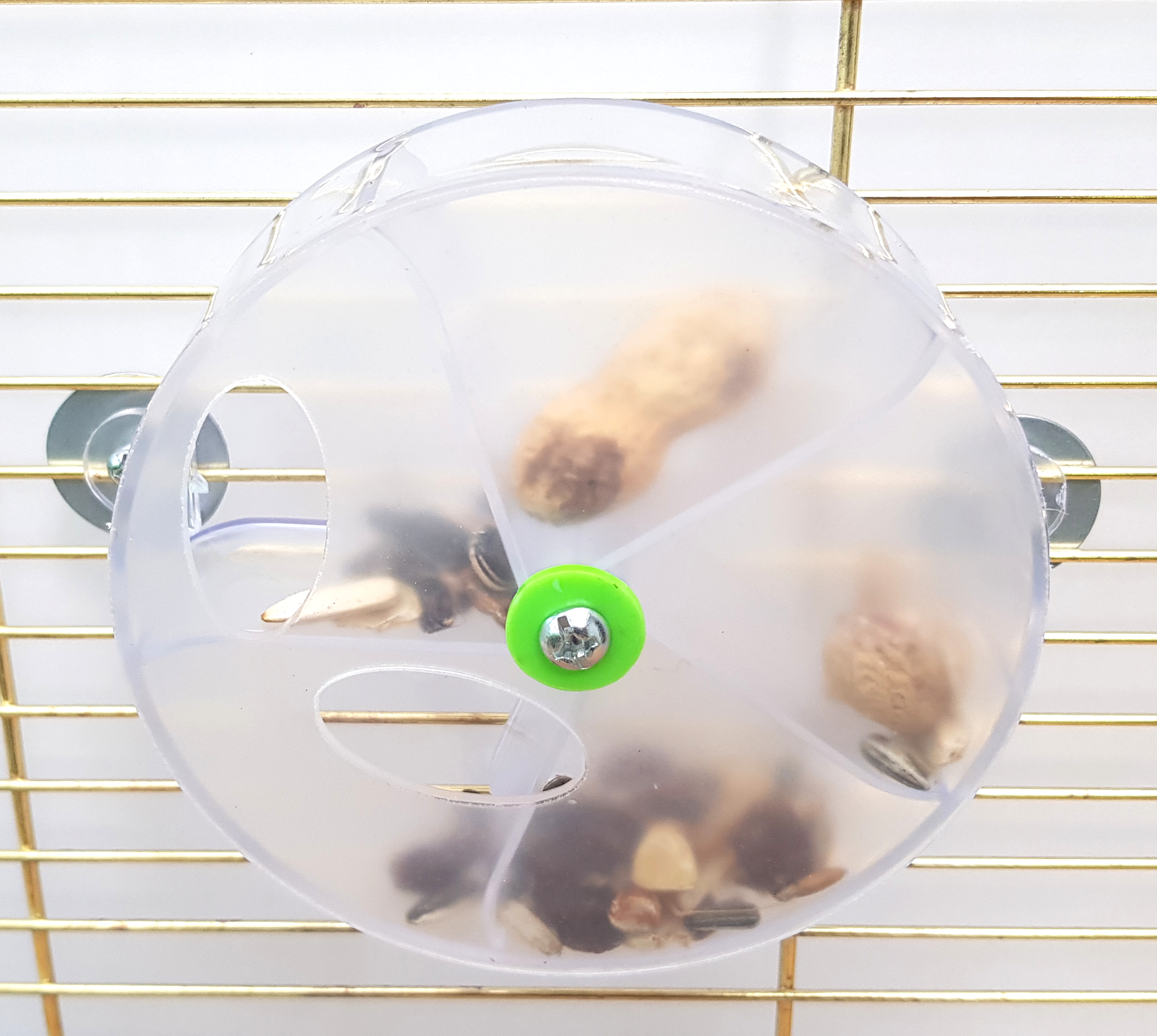 Karmnik - koło do żerowania dla papug - bufet na smakołyki